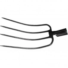 Πηρώνα 4 Δοντιών